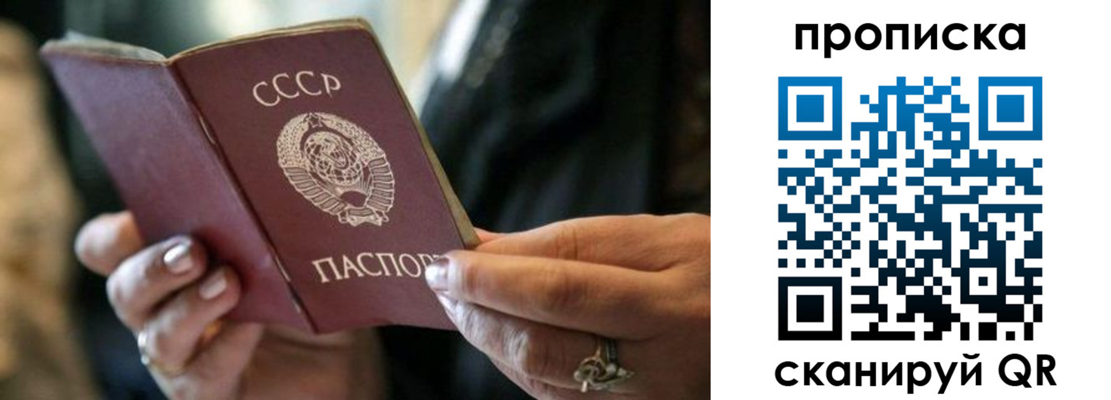 пропишу в квартире в Электрогорске